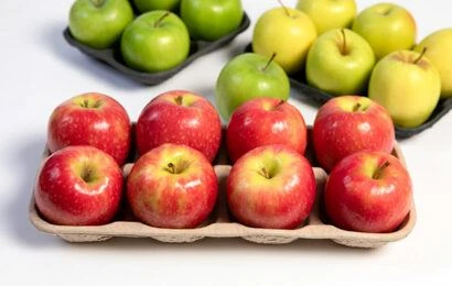 Molded Pulp Apple Tray
